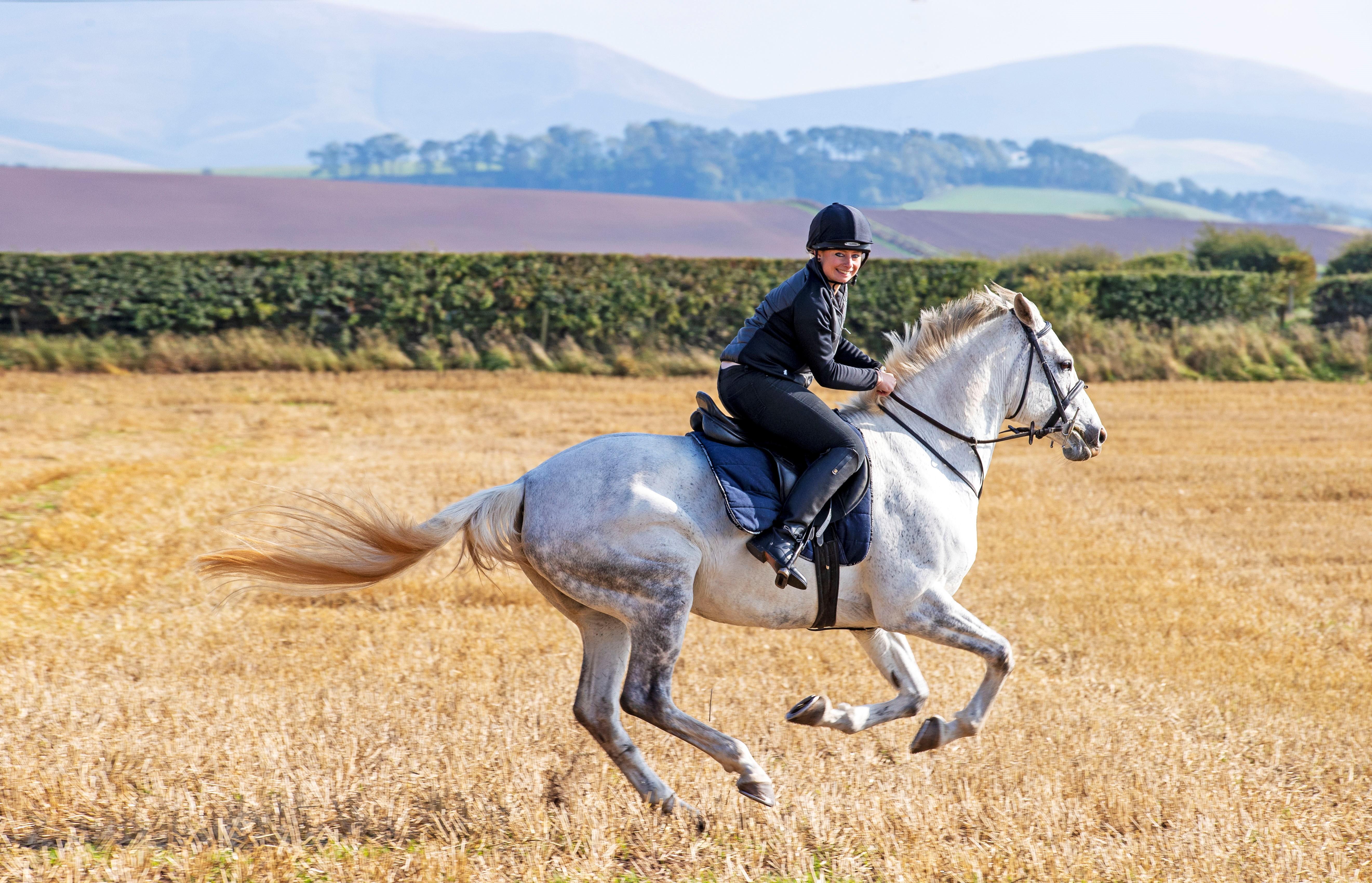 Schloss Roxburghe, Part Of Destination By Hyatt エクステリア 写真 A rider on a purebred Spanish horse